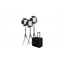Kit Nanlite 3 light kit 600DSA w/Trolley Case &amp Light...