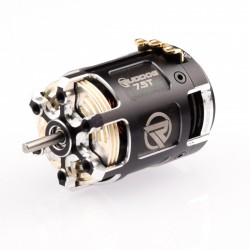 RP542 6.5T 540 Sensored Brushless/střidavý motor