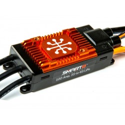 Spektrum regulátor Smart Avian 100A 3-6S Verze B